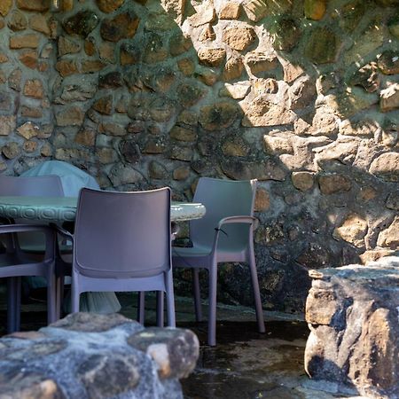 Strelitzia Cottage Cape Town Exterior photo