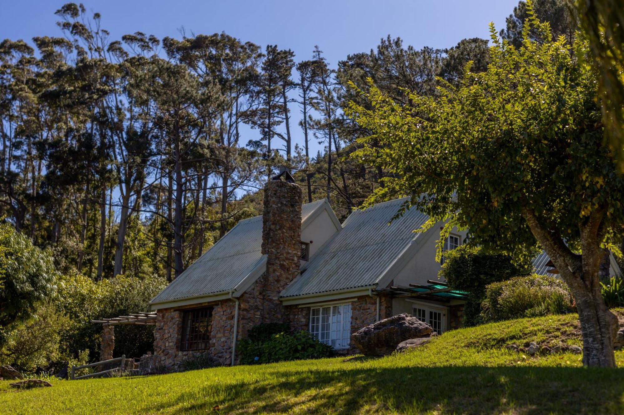 Strelitzia Cottage Cape Town Exterior photo